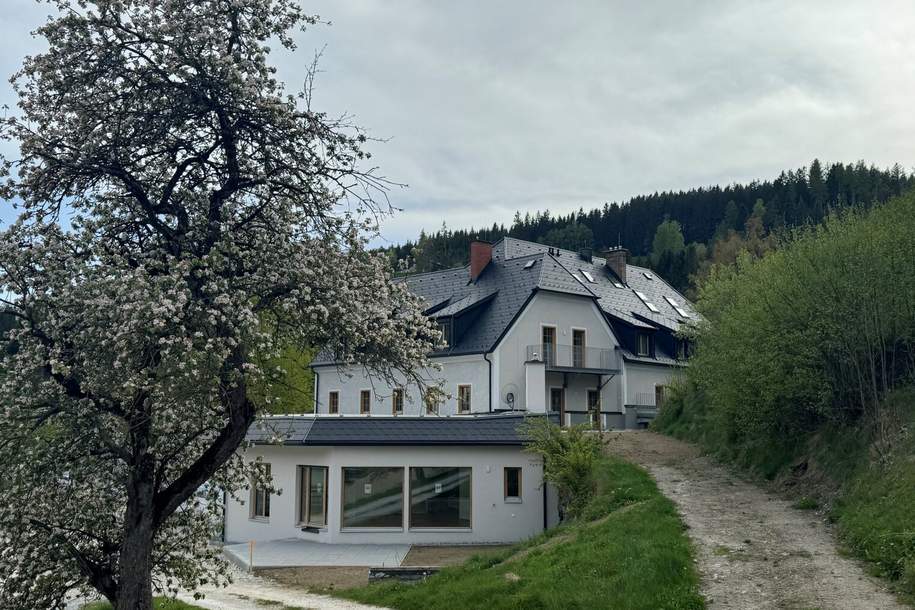 Terrassenwohnung im "Hauensteinhof" zum Mieten; barrierefrei!, Wohnung-miete, 673,89,€, 8672 Weiz