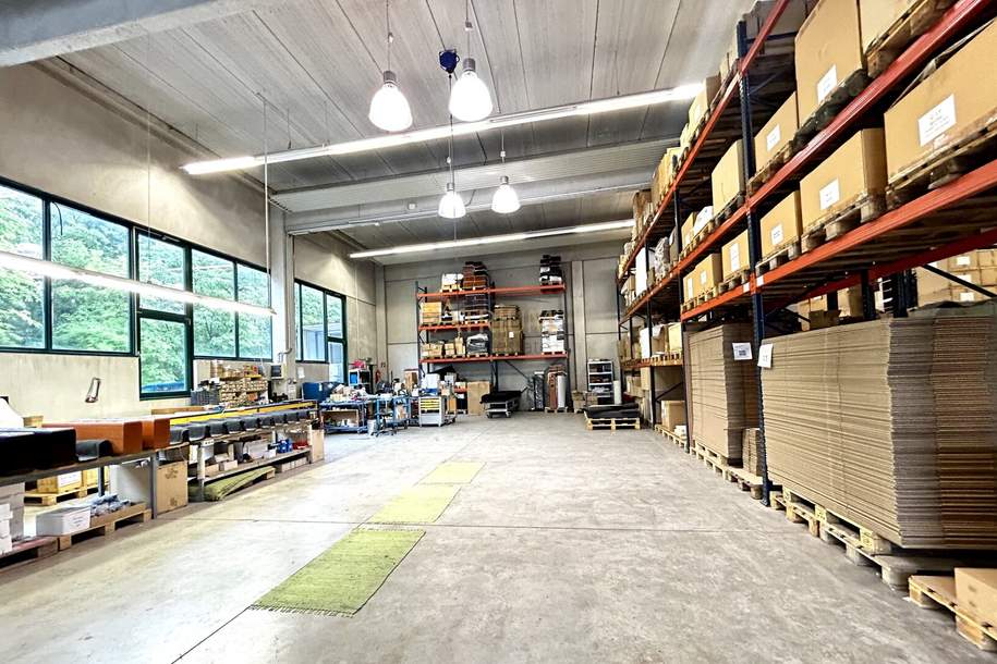 Top Firmenstandort in Bezirk Baden - Moderne Gewerbehalle mit Büros und Pauschalmietzins., Gewerbeobjekt-miete, 8.000,00,€, 2483 Baden