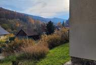 Großzügiges Zweifamilienhaus mit Innenhof, Gewölbekeller und traumhaftem Ausblick