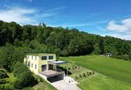 Hochwertiges Niedrigenergiehaus mit Panorama-Terrasse und Erdwärme - Wohnen mit Freiraum im Südburgenland