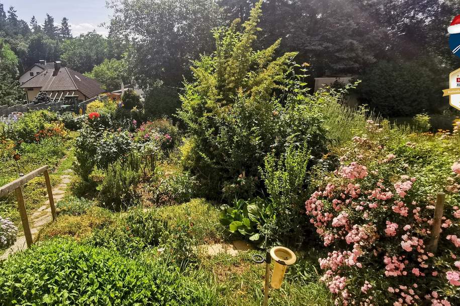 traumhafte 3-Zimmer-Wohnung mit Garten, Wohnung-kauf, 155.000,€, 2020 Hollabrunn