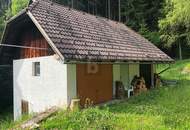 RUHE AM WALDRAND ÜBER DER NEBELGRENZE