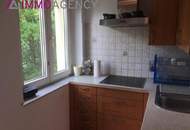 Exklusive 4 Zimmer-Wohnung mit Grünblick in bester Lage in Döbling! WG geeignet!!