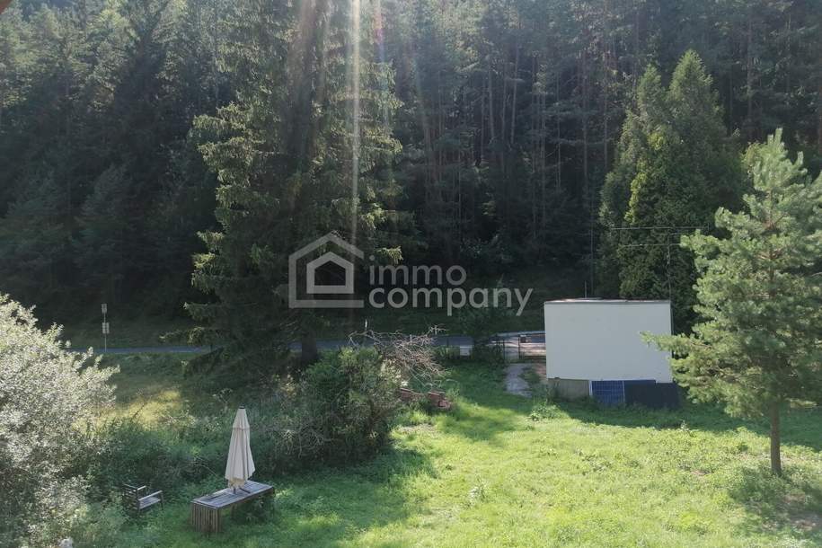 Einfamilienhaus mit viel Potenzial in ruhiger Waldlage nahe Pernitz, Haus-kauf, 250.000,€, 2763 Wiener Neustadt(Land)