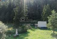 Einfamilienhaus mit viel Potenzial in ruhiger Waldlage nahe Pernitz