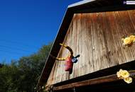 SENSATIONELLES JUWEL! Exklusiver Vierkanthof im Thermenland Steiermark – Wohnen, Reiten &amp; Leben mit Pool und Natur!