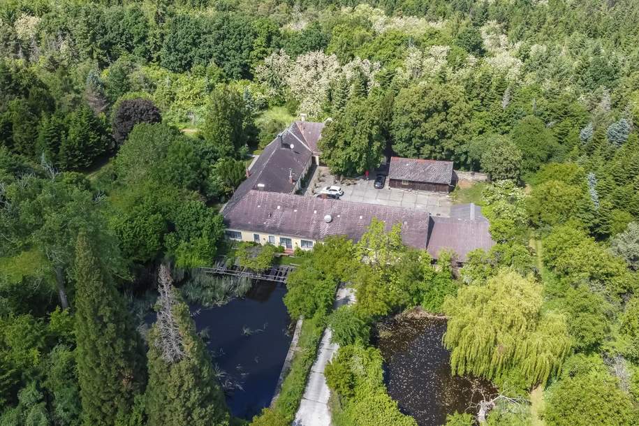 Ehemaliges Forstgut in Alleinlage bei Krems, Haus-kauf, 740.000,€, 3541 Krems(Land)