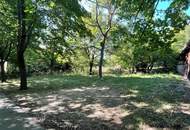 Ruhig gelegenes Baugrundstück mit eigener Zufahrt in Bad Fischau-Brunn