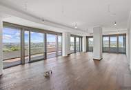 DANUBE PENTHOUSE mit XXL Freifläche Richtung Innenstadt ** 4 Zimmer & 3 Bäder