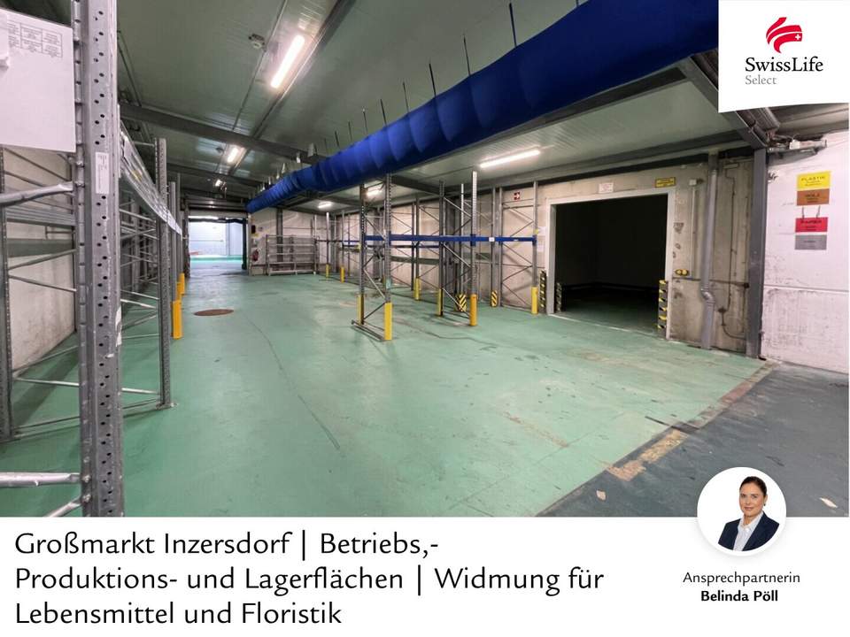 Großmarkt Inzersdorf | Betriebs,- Produktions- und Lagerflächen | Widmung für Lebensmittel und Floristik