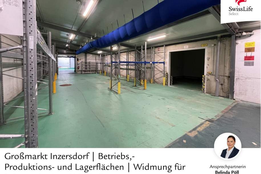 Großmarkt Inzersdorf | Betriebs,- Produktions- und Lagerflächen | Widmung für Lebensmittel und Floristik, Gewerbeobjekt-kauf, 985.000,€, 1230 Wien 23., Liesing