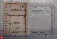 Altbau-Villa mit Gartenhaus in bester Mödlinger Wohnlage