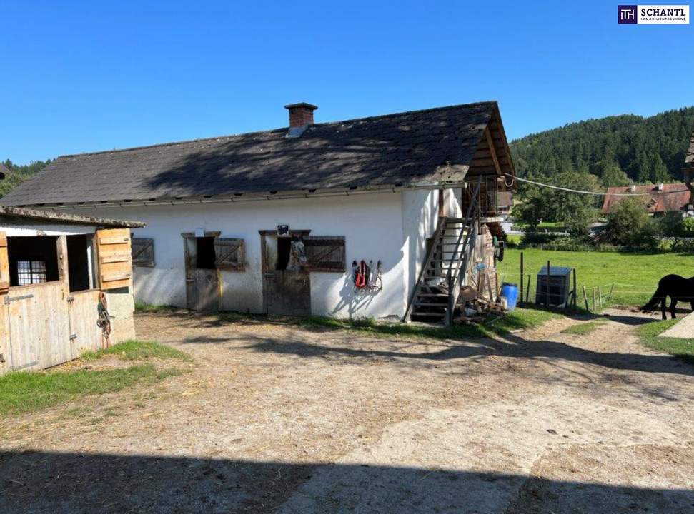 Ihr Paradies auf dem Land: Charmanter Reiterhof in traumhafter Lage!