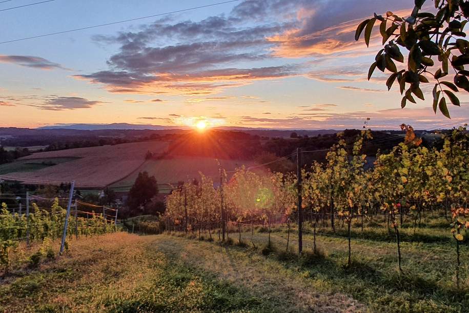 IN SLOWENIEN! Winzerhaus mit Weingarten und Blick bis zum Horizont!, Haus-kauf, 129.000,€, 8490 Südoststeiermark