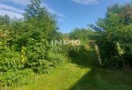 WOHN-UND GESCHÄFTSHAUS AUS DEM 16. JAHRHUNDERT IM HERZEN VON LANGENLOIS 100 m Kellerröhre, Nebengebäude, Innenhof, Geschäftslokale, usw.