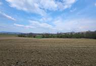 Rückzugsort in Leonding – Weitläufiges Dauerkleingarten‑Grundstück