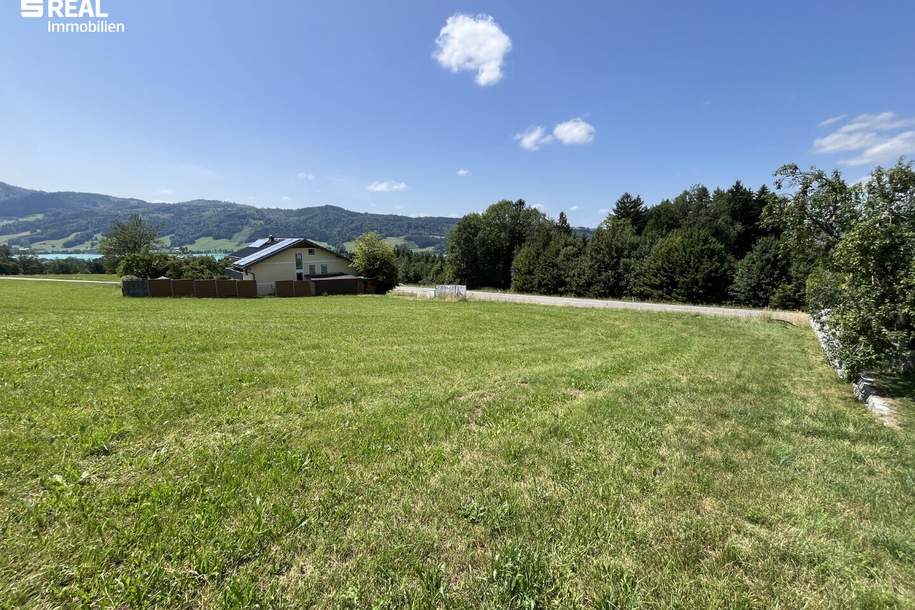 1.907 m² warten auf Ihre Pläne, Grund und Boden-kauf, 793.830,€, 4893 Vöcklabruck