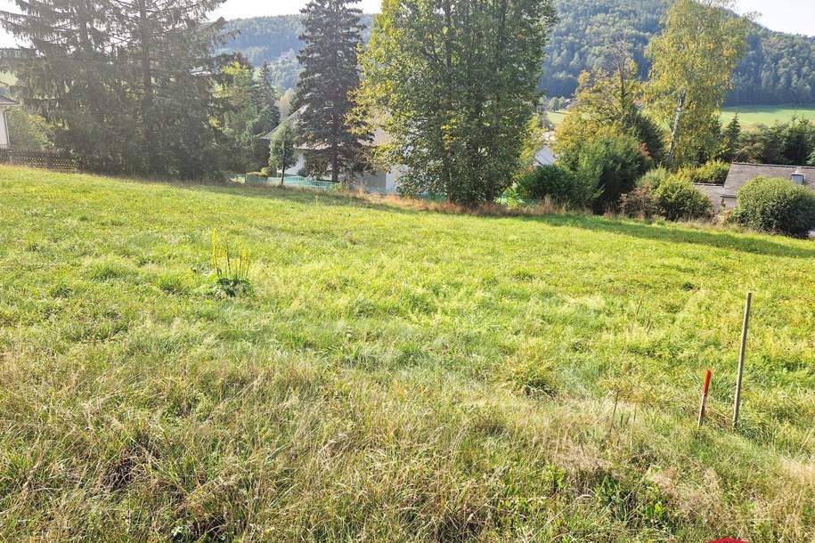 RUHELAGE - Sonniges Grundstück (Fahnengrundstück) mit Aussicht in Semriach!, Grund und Boden-kauf, 130.000,€, 8102 Graz-Umgebung