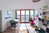 Linz/Stadt: Dachgeschosswohnung (2 Zimmer) mit herrlichem Fernblick in der Schubertstraße