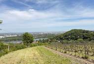 "Luxuswohnung in Bestlage des 19. Bezirks-über den Weinbergen"