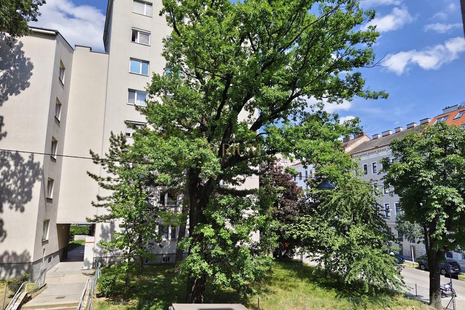 Charmante 2-Zimmer-Wohnung nach Generalsanierung – Erstbezug in gute-Lage, nähe U3, Wohnung-kauf, 245.000,€, 1150 Wien 15., Rudolfsheim-Fünfhaus