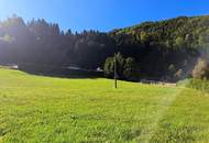 Großzügiges Baugrundstück in Reichraming