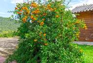 Idyllisches Landhaus in Wohnsiedlung am Waldesrand mitten im Triestingtal, südliches Bergland vor Wien