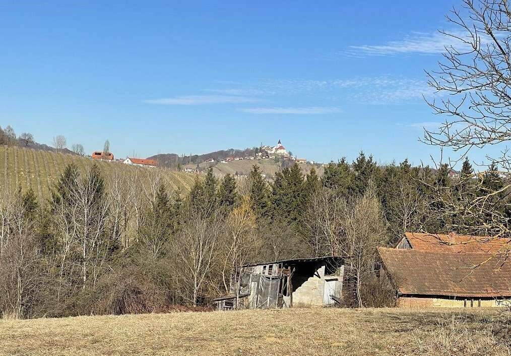 Sonniges Baugrundstück in sanfter Hanglage in wunderschöner Weinregion!