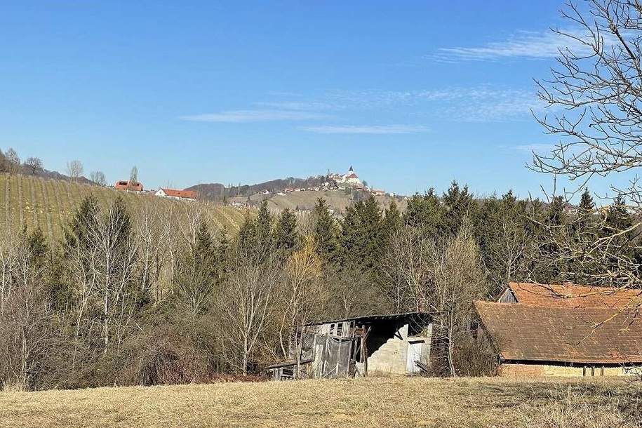 Sonniges Baugrundstück in sanfter Hanglage in wunderschöner Weinregion!, Grund und Boden-kauf, 28.990,€, 8354 Südoststeiermark