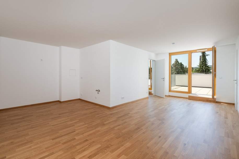 Provisionsfreie 4-Zimmer-Wohnung mit Terrasse auf Wohnebene, Erstbezug !, Wohnung-kauf, 850.000,€, 1130 Wien 13., Hietzing