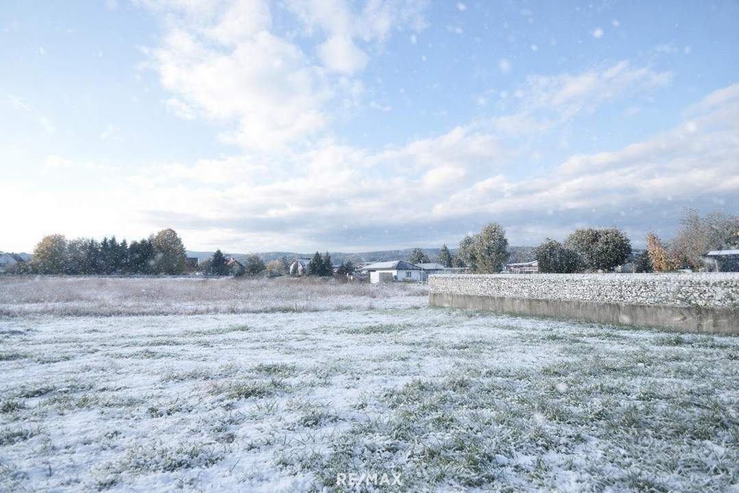 Baugrund am Stadtrand von Pöchlarn - keine Bauverpflichtung