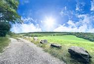 360 TOUR // HIDE AWAY MIT POOL & FERNBLICK