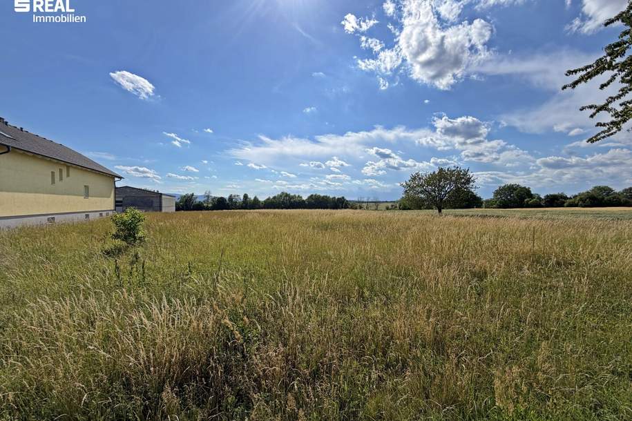 7361 Lutzmannsburg - Thermenregion Lutzmannsburg! Baugrundstück in Ortsrandlage, Grund und Boden-kauf, 67.000,€, 7361 Oberpullendorf