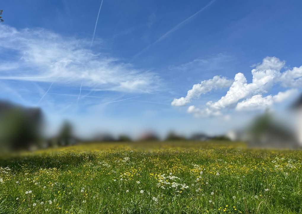 Traumhaftes Baugrundstück in Top Lage | Straßwalchen