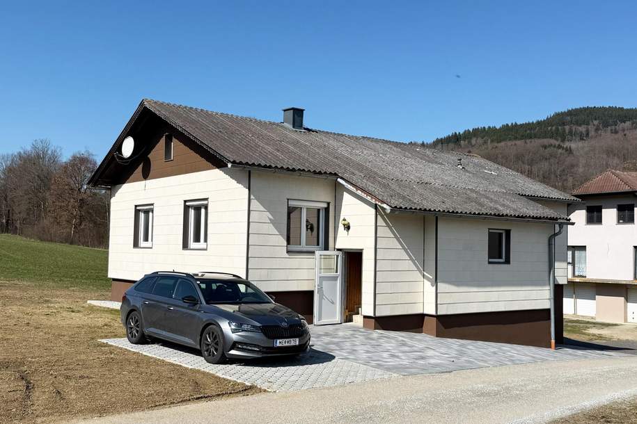 Anpacker gesucht - entkerntes Einfamilienhaus in Laimbach am Ostrong!, Haus-kauf, 178.000,€, 3663 Melk