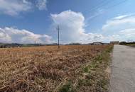 Baugrund sonnige und ebene Lage in Haid