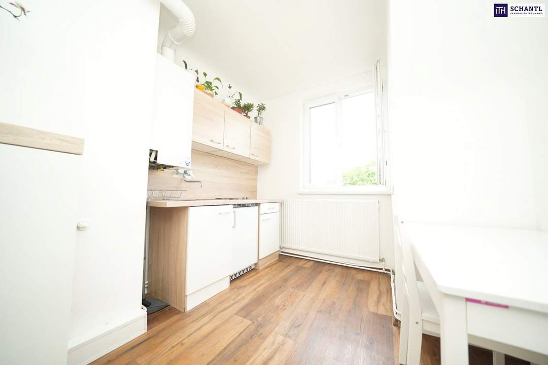 SENSATIONELL! PERFEKTER ZUSTAND! Ertragsstarke Immobilie in Wien: Vermietete 55m²-Wohnung – Kein Sanierungsbedarf &amp; hohe Nachfrage