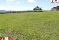 10 Pferdestellplätze – Charmantes Bauernhaus für Pferdeliebhaber