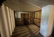 Modernisiert - hochwertig - durchdacht: diese 2,5-Zimmer Wohnung in hervorragender Lage überzeugt mit stilvoller Sanierung, ebenerdiger Dusche, hochwertigen Böden und viel Stauraum im großzügigen Kellerabteil - perfekt für Paare oder kleine Familien!