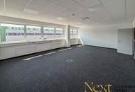 NEUBAU - Lager-/Produktionshalle (optional mit Büroflächen) in Enns/Ennshafen zu vermieten!