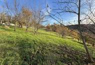 6.026m² Land und Forstwirtschaftliche Fläche in Ruppersdorf