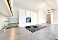 Klimatisierte 4-Zimmer DG-Maisonette mit Terrasse nahe Schottentor (optional mit PKW-Stellplatz)