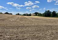 Landwirtschaftlicher Nutzgrund Leonding