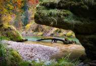 Naturparadies in Oberösterreich (Provisionsfrei)