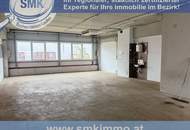 GROSSE HALLE IM GEWERBEGEBIET VON TRUMAU!