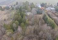 Wo die Seele ihr Zuhause findet: Ein Kunstwerk zwischen Wald und Wien