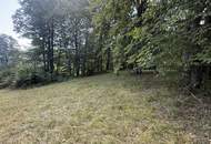 Natur pur! Gemütliches Einfamilienhaus in Feichtenbach mit Garten, Terrasse und Kamin!