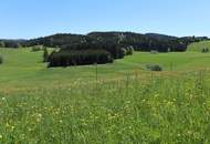 Baugrund in Dorfrandlage