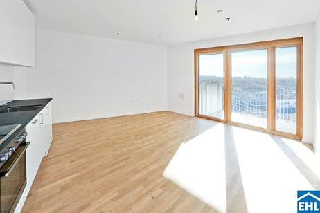 Sonnwendviertel - Großzügige 1-Zimmer-Wohnung im 15. OG mit Balkon im Sonnwendviertel - Fitnessraum, Co-Working &amp; Rooftop-Terrasse inklusive!, Wohnung-miete, 830,00,€, 1100 Wien 10., Favoriten
