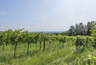 "Das Haus im Haus" - Wundervolle Maisonette mit Blick über Wien!